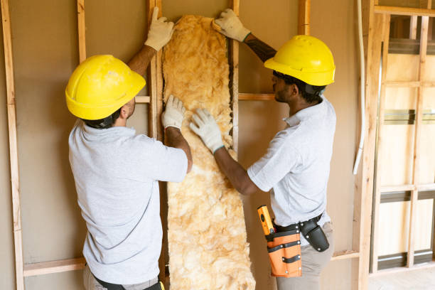 Best Pipe and Duct Insulation  in Kennesaw, GA